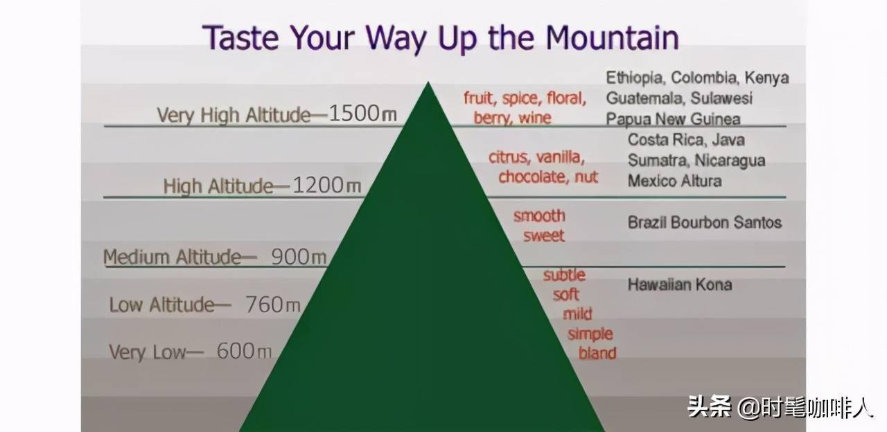 海拔产区的咖啡豆风味更好？PG电子麻将胡了2为什么高(图5)