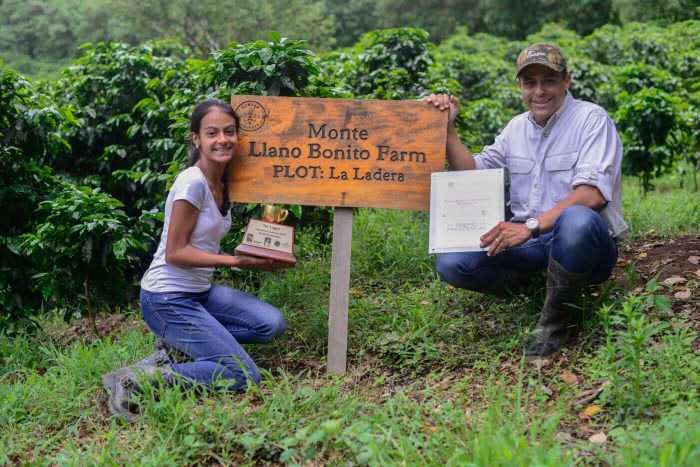 样的？哥斯达黎加舒马瓦庄园咖啡种植海拔麻将胡了哥斯达黎加咖啡豆的种植历史是怎(图3)
